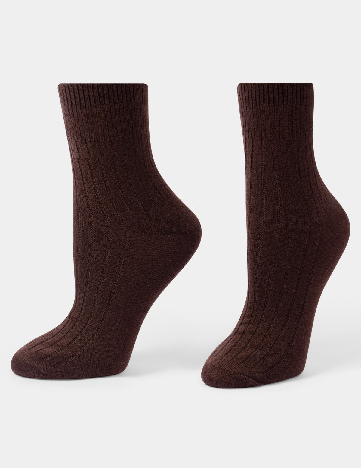 Ribbed Cropped Crew - Chocolate Brown | Hue