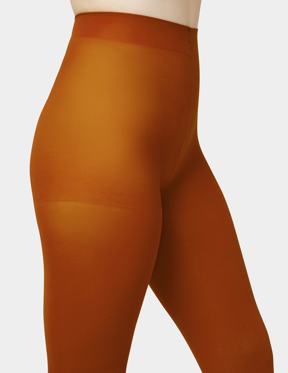 Super Opaque Control Top Tight - Autumna | Hue