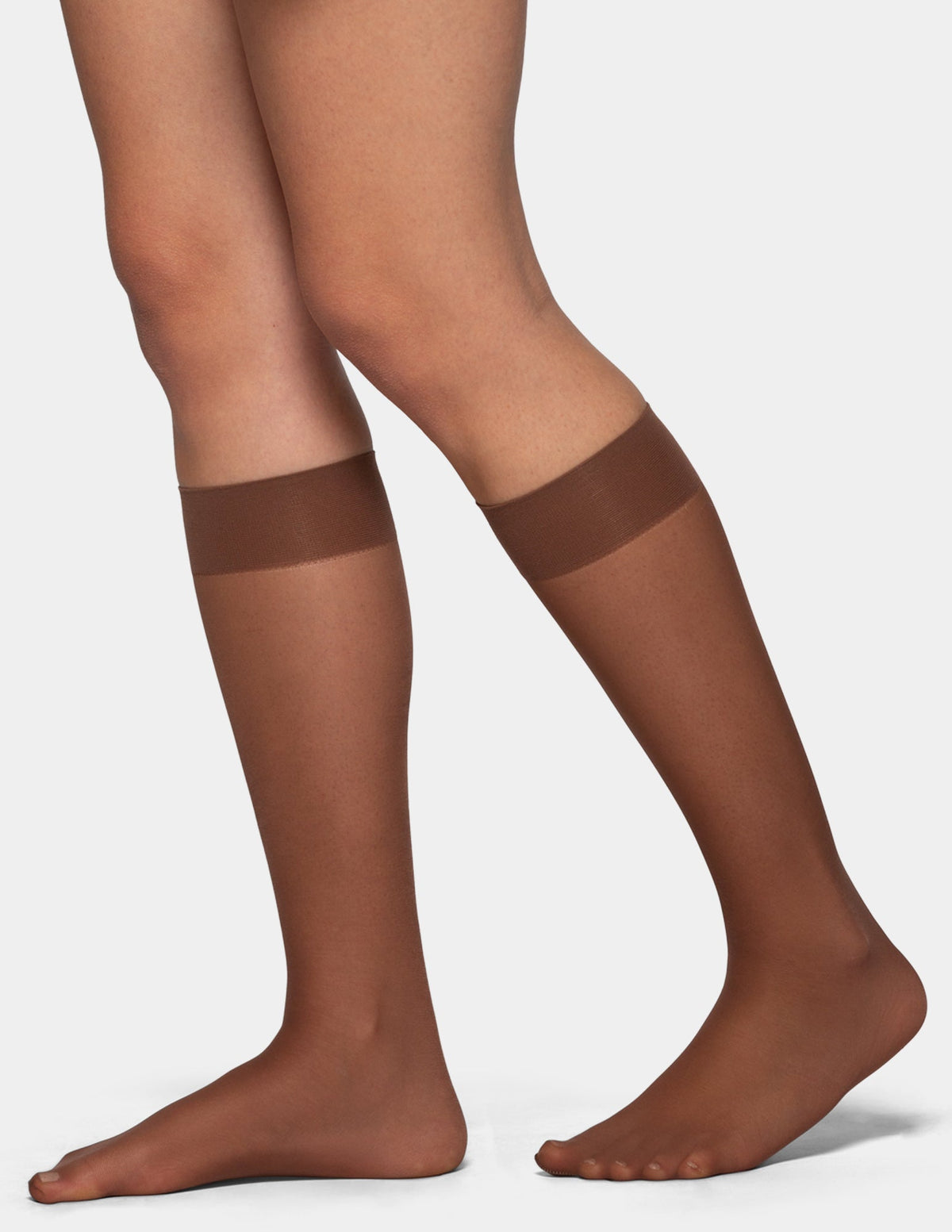 Sheer Knee High Socks 2 Pair Pack - Brown | Hue